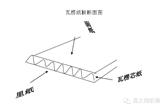 瓦楞紙板斷面圖