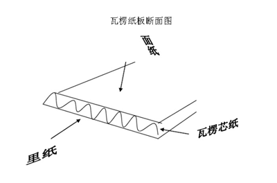 瓦楞紙斷面圖 -